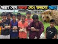 বিদেশি জাতের সজারু দেখে নানান প্রশ্ন আমাকে | হেজহগ | Hedgehog