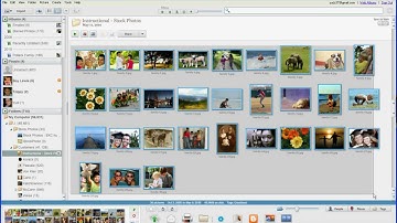 Upload & Arrange Photos Online with Google Picasa