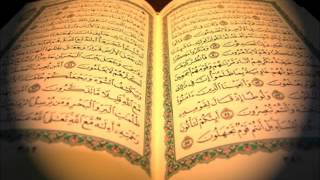 سورة الشورى / صلاح البدير
