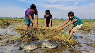 😲Unbelievable fishing in Village | Most popular hand fishing method | New hand fishing video