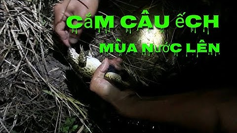 CẮM CÂU ẾCH MÙA NƯỚC LÊN/ CUỘC SỐNG ĐÔNG QUÊ/MIỀN TÂY-TT42