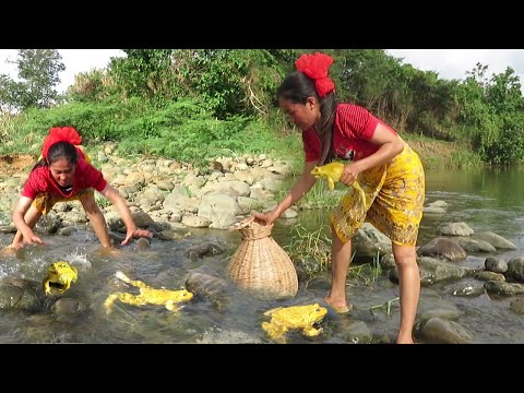 ভিডিও: আমাজোনিয়ান শেল ক্যাটফিশ ধরা পড়েছে আরখাঙ্গেলস্ক অঞ্চলে