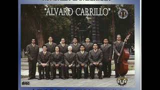 Video thumbnail of "15 El Mariachi - Rondalla Álvaro Carrillo"