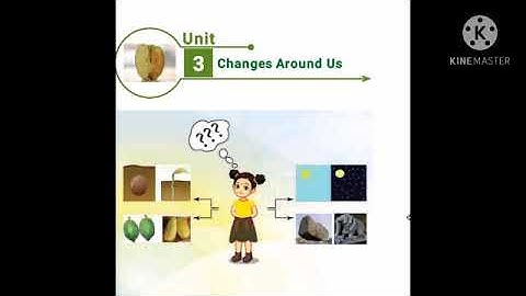 Class 6 Science Ln-3 Changes around us Term-2