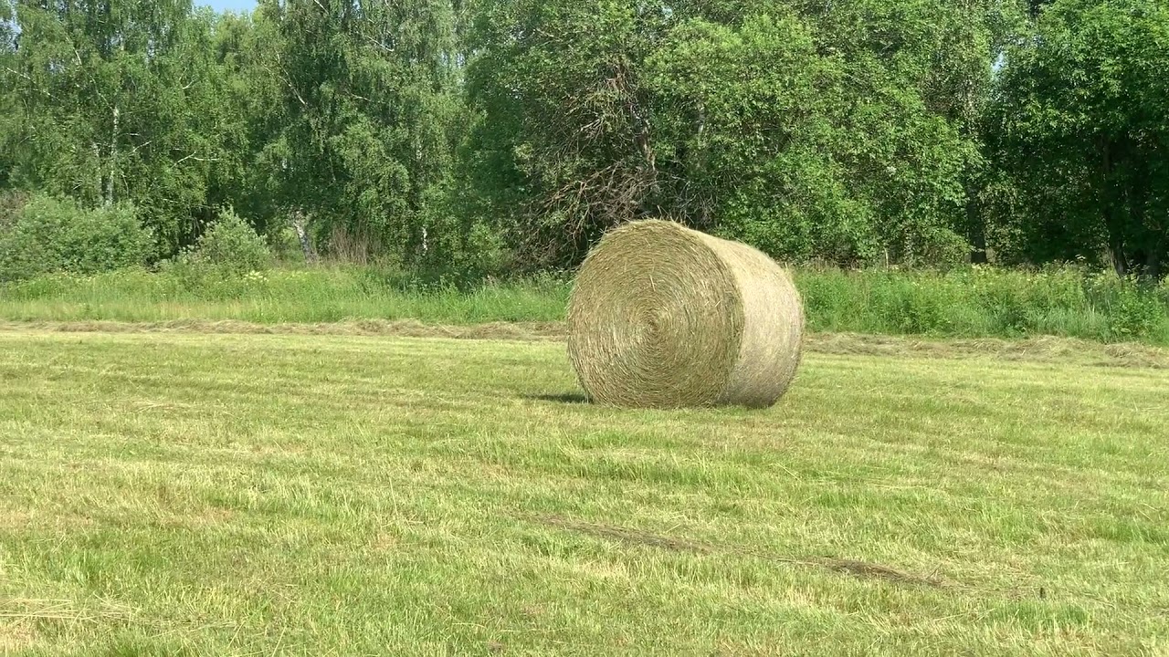 Лето 2021. Заготавливаем сено Пресс-подборщиком Claas Variant 280 в паре с МТЗ 80.!