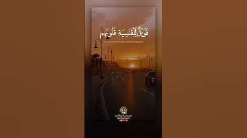أفمن شرح الله صدره للإسلام فهو على نور من ربه بصوت القارئ ياسر الدوسري