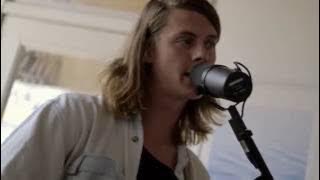 THE VELVETEINS - Daydreams