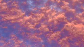 Daniel Profeta - Paper Skies (Full Album Stream)