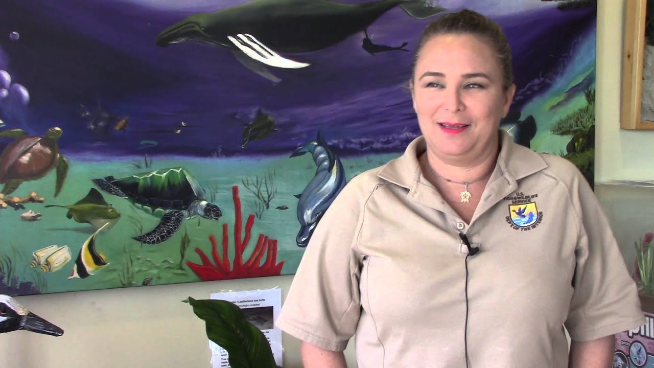 PR – So How Did you Get Here? Mitsuka Bermudez