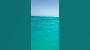 انا عاوز اسافر ودوني البحر ودوني معلش عاوز اعمل تش ابلبط ابلبط ابلبط مطروح جنه وروح 