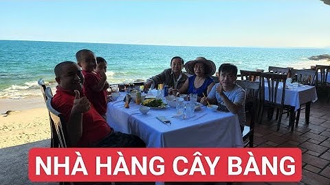 NHÀ HÀNG CÂY BÀNG HÀM TIẾN PHAN THIẾT, LẦN ĐẦU CẢ NHÀ STING ĂN ĐẶC SẢN GỎI CÁ MAI NHÀ HÀNG VIEW BIỂN