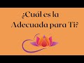 15 Tipos de Meditación | Explicación de cada una