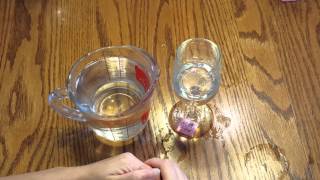 How to Play the Glass Harp chords