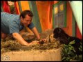 Zoboomafoo 102  tlbinocles