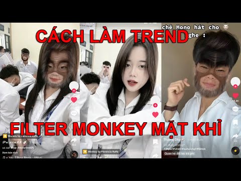 CÁCH LÀM TREND FILTER MONKEY TRÊN TIK TOK