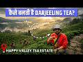 असली और नकली Darjeeling Tea ऐसे पहचानिए.. | Tea Bag है सबसे सस्ता.. और भी बहुत कुछ..