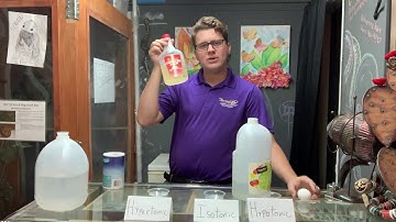 Eggmosis(osmosis) activity