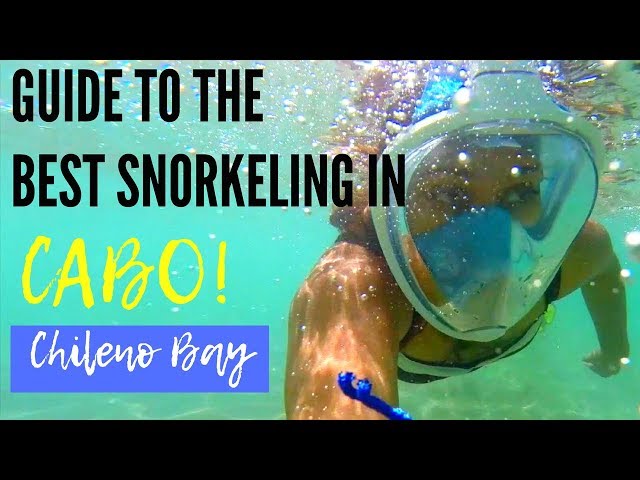 Chileno Bay, Best Snorkeling in Cabo!  Do This If Traveling To Cabo San Lucas! class=
