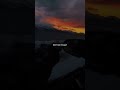 It S You Ali Gatie Lyrics Edit Audio Sped Up Slowed Trending Shorts Youtubeshorts It S You Ali Gatie Lyrics Edit Audio Sped Up Slowed Trending Shorts Youtubeshorts