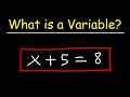 Understanding Variables, Expressions, and Equations