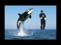 Snoop Whale Snoop Whale