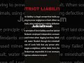 Strict Liability - JudicialDream