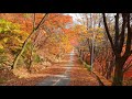 夕焼け 峠 ; 美空 ひばり- Yuyake touge ; Misora Hibari - 서울대공원 둘레길