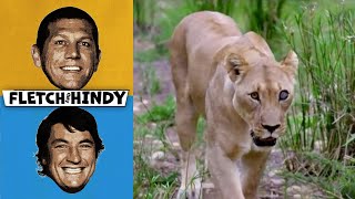 The Boys Take On Shamwari Game Reserve, South Africa Fletch & Hindy