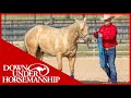 Method Ambassador Ron Renard - Downunder Horsemanship