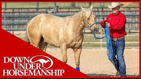 Clinton Anderson: Method Ambassador Ron Renard - D...