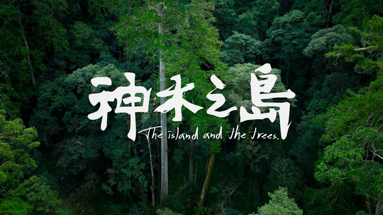 《神木之島》前導預告  "找樹篇"
