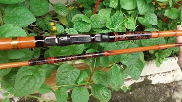 Tân trang 1 cây Cần Hechi siêu phẩm cực hiếm để khách sưu tầm