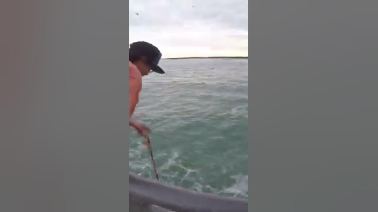 How to Land a Fish from a Pier using a Drop Net 