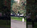 Аллея Блокадников Восход Речной вокзал Октябрьский район Сибирь Новосибирск Жилье Новостройки НСК 54