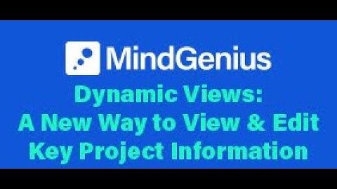 Project Management - Dynamic Views