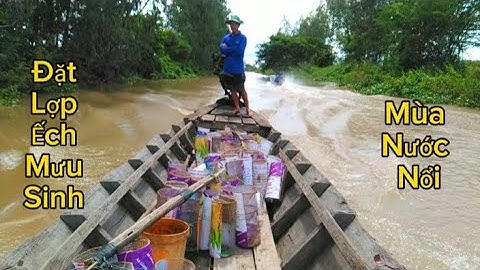 Đặt Lợp Ếch Mưu Sinh Mùa Nước Nổi/Út Miền Tây