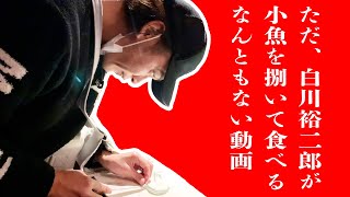 純烈「ただ、白川裕二郎が小魚を捌いて食べるなんともない動画」