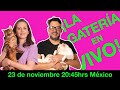 ¡LA GATERÍA EN VIVO!