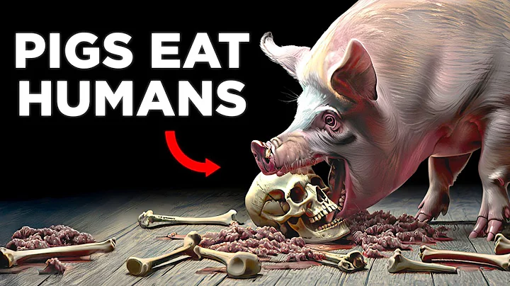 Animals With The Weirdest Behavior thumbnail