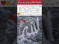 A Remarkable Scene in the Water Waves🌊❤️#trending#viral video#short video#short feed#Islamic short#y