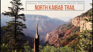 Grand Canyon North Rim: North Kaibab Trail to Roaring Springs