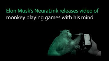 Elon Musk’s NeuraLink releases video of monkey playing games with his mind