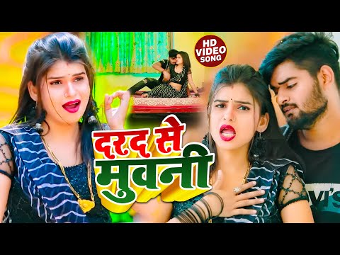 #Video | दरद से मुवनी | #Shailendra Babu | Dard Se Muani | New Bhojpuri Hit Song 2024
