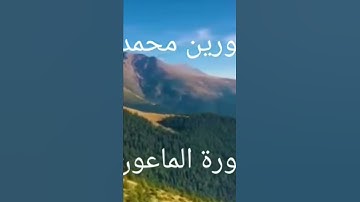 الأجمل تلاوة خاشعة بصوت الشيخ نورين محمد صديق السوداني سورة الماعون