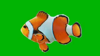 Finding Nemo & Dory Green Screen Free