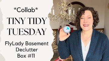 Tiny Tidy Tuesday Collab | Box #11 | FlyLady Babystep Basement Declutter