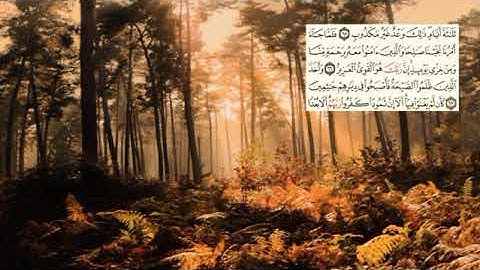 صفحة-229 page سعد الغامدي - -سورة هود -11- (Hud)