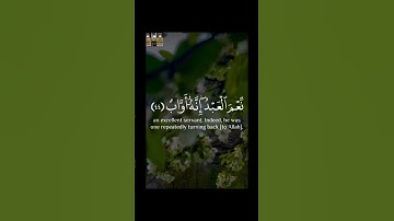نِعمَ العبدُ إنهُ أواب. #رعد_الكردي #قرآن_كريم #تلاوةخاشعة