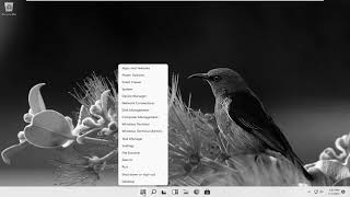 How To Turn Off Grayscale On Windows 11 [Tutorial]