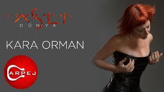 Aslı Gökyokuş - Kara Orman  Resimi